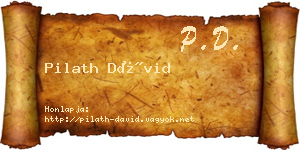 Pilath Dávid névjegykártya